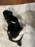 processed/87e52953-56d8-4b92-9406-3c7c220110e2/listing/65f9e24e-1fec-4ec2-b838-335a963ac4e3/66484616-b35a-4269-bd7a-e3589f2055e2