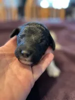 processed/87e52953-56d8-4b92-9406-3c7c220110e2/listing/65f9e24e-1fec-4ec2-b838-335a963ac4e3/764fe004-039b-4a4e-b269-c3b55adee371