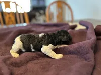 processed/87e52953-56d8-4b92-9406-3c7c220110e2/listing/65f9e24e-1fec-4ec2-b838-335a963ac4e3/9cf58dbb-4c2b-4d02-b542-03bf6b649a8f