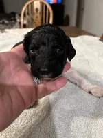 processed/87e52953-56d8-4b92-9406-3c7c220110e2/listing/65f9e24e-1fec-4ec2-b838-335a963ac4e3/b940e98f-8511-4146-bbc1-c2c73b26dd76