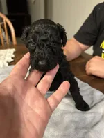 processed/87e52953-56d8-4b92-9406-3c7c220110e2/listing/762ac0f8-4726-4660-abd4-ec62d36165a3/14ba1b61-a856-4e8f-904f-2026504fcdbe