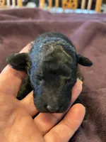 processed/87e52953-56d8-4b92-9406-3c7c220110e2/listing/762ac0f8-4726-4660-abd4-ec62d36165a3/19c55ac7-dd62-49e2-afe5-e3313e7ea09c