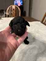 processed/87e52953-56d8-4b92-9406-3c7c220110e2/listing/762ac0f8-4726-4660-abd4-ec62d36165a3/377702a2-9528-4ba2-9cdd-ad5fb4e86d80