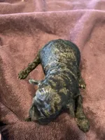 processed/87e52953-56d8-4b92-9406-3c7c220110e2/listing/762ac0f8-4726-4660-abd4-ec62d36165a3/4638895e-0c77-4e82-94a2-af19be22a6d4