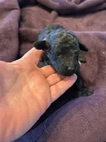 processed/87e52953-56d8-4b92-9406-3c7c220110e2/listing/7985a25b-ab01-43a0-844e-7483c6b6d170/3594d46a-0e15-46db-a589-3f5d74896a88