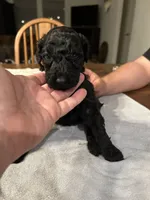 processed/87e52953-56d8-4b92-9406-3c7c220110e2/listing/7985a25b-ab01-43a0-844e-7483c6b6d170/4d643417-47db-4c73-8c8b-8b3f46193954