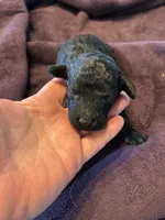 processed/87e52953-56d8-4b92-9406-3c7c220110e2/listing/7985a25b-ab01-43a0-844e-7483c6b6d170/91105ae4-ac4f-422c-82a8-244fac07b1e1