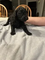 processed/87e52953-56d8-4b92-9406-3c7c220110e2/listing/7985a25b-ab01-43a0-844e-7483c6b6d170/da6a5cf6-04cd-4a13-85f1-9c1aad3180d3