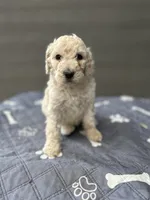 processed/87e52953-56d8-4b92-9406-3c7c220110e2/listing/86e67930-c844-45f2-a78f-d69810c313f5/07e9490a-1433-4984-a09b-e64a310a87c1