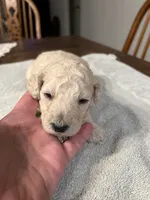 processed/87e52953-56d8-4b92-9406-3c7c220110e2/listing/86e67930-c844-45f2-a78f-d69810c313f5/76080ac6-7cbe-4159-bdf2-6acabff950ee