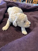 processed/87e52953-56d8-4b92-9406-3c7c220110e2/listing/86e67930-c844-45f2-a78f-d69810c313f5/8196346a-535e-4b35-a051-08283654eb32