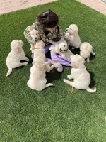 processed/87ed5263-b2bf-4ba5-84c2-1868e3891bc2/facility/1ac006d3-e455-4927-80e9-f5b477489355