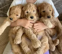 processed/87ed5263-b2bf-4ba5-84c2-1868e3891bc2/facility/321b40d9-3847-452c-bfba-999161b561ee