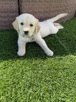 processed/87ed5263-b2bf-4ba5-84c2-1868e3891bc2/facility/4a44a212-d108-4e7e-88da-126698c96421