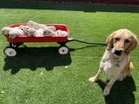 processed/87ed5263-b2bf-4ba5-84c2-1868e3891bc2/facility/4baefa41-085e-44f6-bdb0-57d561bebba9