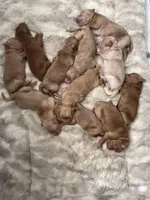 processed/87ed5263-b2bf-4ba5-84c2-1868e3891bc2/facility/659a5d46-f295-4872-8413-7969e6ae1066