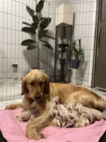 processed/87ed5263-b2bf-4ba5-84c2-1868e3891bc2/facility/a6b72dbf-f638-4740-bab0-ad5693b814b8