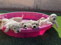 processed/87ed5263-b2bf-4ba5-84c2-1868e3891bc2/facility/c4d244bd-02ce-40c7-b5e5-faa1961c1d66