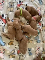 processed/87ed5263-b2bf-4ba5-84c2-1868e3891bc2/facility/d876d734-5eea-4bec-8b05-d26bfef11a93