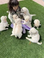 processed/87ed5263-b2bf-4ba5-84c2-1868e3891bc2/facility/f72b58df-e0d2-44c5-9e20-a93725515509