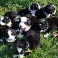 processed/87eef824-9326-48ee-9acd-9fa6493d6f02/facility/41abc9a2-df77-43de-9b1b-78145268ebc6