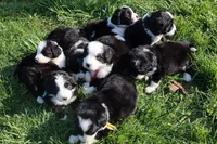 processed/87eef824-9326-48ee-9acd-9fa6493d6f02/facility/41abc9a2-df77-43de-9b1b-78145268ebc6