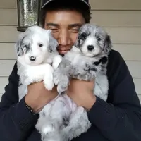 processed/87eef824-9326-48ee-9acd-9fa6493d6f02/facility/522dd330-604d-4556-9165-44d7b59832fc