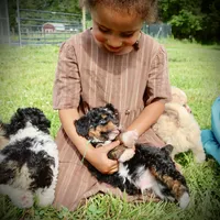 processed/87eef824-9326-48ee-9acd-9fa6493d6f02/facility/667c91e4-a00d-46d2-9f2d-c823ad11ed55