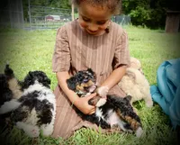 processed/87eef824-9326-48ee-9acd-9fa6493d6f02/facility/667c91e4-a00d-46d2-9f2d-c823ad11ed55