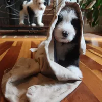 processed/87eef824-9326-48ee-9acd-9fa6493d6f02/facility/6d09a61b-2fd0-4c79-bb3d-5e24fe17f7a7