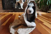 processed/87eef824-9326-48ee-9acd-9fa6493d6f02/facility/6d09a61b-2fd0-4c79-bb3d-5e24fe17f7a7