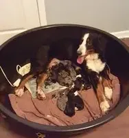 processed/87eef824-9326-48ee-9acd-9fa6493d6f02/facility/b01c9b32-043a-450a-8648-99ee73652062