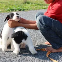 processed/87eef824-9326-48ee-9acd-9fa6493d6f02/facility/c36aae8d-80ab-44dd-9ed1-2ea262300c95