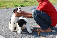 processed/87eef824-9326-48ee-9acd-9fa6493d6f02/facility/c36aae8d-80ab-44dd-9ed1-2ea262300c95