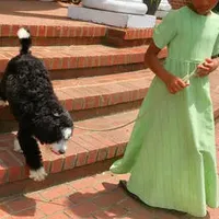 processed/87eef824-9326-48ee-9acd-9fa6493d6f02/facility/cb4ef6c3-2b02-4f2d-89a7-5726db374bdd