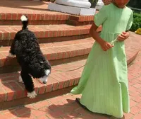 processed/87eef824-9326-48ee-9acd-9fa6493d6f02/facility/cb4ef6c3-2b02-4f2d-89a7-5726db374bdd