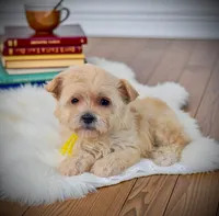 processed/87eef824-9326-48ee-9acd-9fa6493d6f02/listing/d7c2d14e-0ba4-4a5a-818d-44479c02642f/a5532e21-7c79-4f94-8b2f-88c5baa1c848