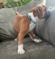 processed/87f3476e-dd5c-4878-83dd-042b2f5d1f06/listing/39e6fa5d-6d1c-41c8-ba25-ef1f67d60d75/1ef46daa-f272-444a-8119-3ea7fca5043f