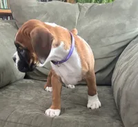 processed/87f3476e-dd5c-4878-83dd-042b2f5d1f06/listing/779190c8-d8da-4a12-9b56-ccd5e4215779/780b5c4c-e82a-4699-9ce6-f8229a16ad7b