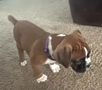 processed/87f3476e-dd5c-4878-83dd-042b2f5d1f06/listing/779190c8-d8da-4a12-9b56-ccd5e4215779/95789b96-6549-4b51-94b1-3e8b17d1592e