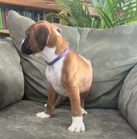 processed/87f3476e-dd5c-4878-83dd-042b2f5d1f06/listing/779190c8-d8da-4a12-9b56-ccd5e4215779/e92baf76-57a9-4945-b618-51075698f60d