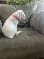 processed/87f3476e-dd5c-4878-83dd-042b2f5d1f06/listing/99f9272d-946a-42dd-a30e-db0ea9197e4d/07e44c1c-dd73-4501-b305-2d3e3973c461