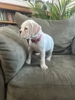 processed/87f3476e-dd5c-4878-83dd-042b2f5d1f06/listing/99f9272d-946a-42dd-a30e-db0ea9197e4d/29325c1f-e24c-4062-82db-9320f8c6c16b