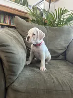 processed/87f3476e-dd5c-4878-83dd-042b2f5d1f06/listing/99f9272d-946a-42dd-a30e-db0ea9197e4d/d37ca257-969b-40a3-98b2-e9f64d8fb9a7