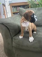 processed/87f3476e-dd5c-4878-83dd-042b2f5d1f06/listing/f55c0150-15de-4d94-82ea-69ef66bf3ff6/3395052b-e532-4c74-bf27-ead1ccb3f099