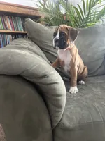 processed/87f3476e-dd5c-4878-83dd-042b2f5d1f06/listing/f55c0150-15de-4d94-82ea-69ef66bf3ff6/63633044-0c1c-4af9-a0a6-0e28674b77ed