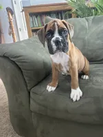 processed/87f3476e-dd5c-4878-83dd-042b2f5d1f06/listing/f55c0150-15de-4d94-82ea-69ef66bf3ff6/ad91a46c-4067-49e8-9a49-95e010bedbff