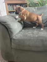 processed/87f3476e-dd5c-4878-83dd-042b2f5d1f06/listing/f55c0150-15de-4d94-82ea-69ef66bf3ff6/e79ce718-35ea-4e90-83f1-0e84a538bbdd