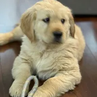 processed/87f40b82-367b-4807-b48a-ab051e8a9327/facility/6b989f05-7c43-413c-9f8a-2027c7190394