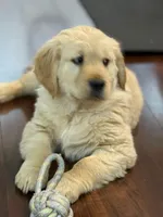 processed/87f40b82-367b-4807-b48a-ab051e8a9327/facility/6b989f05-7c43-413c-9f8a-2027c7190394